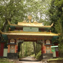 Rumtek Monastery - Gangtok (Sikkim)