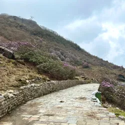 Tsomgo Lake - Gangtok (Sikkim)