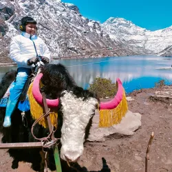 Tsomgo Lake - Gangtok (Sikkim)