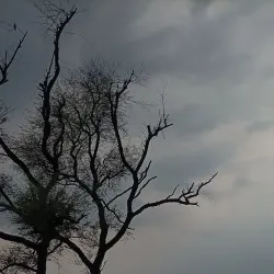 City Forest - Ghaziabad