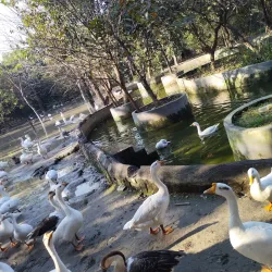 Raj Nagar Park - Ghaziabad