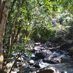 Dudhsagar Falls - Goa