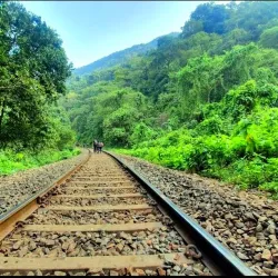 Dudhsagar Falls - Goa