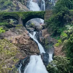 Dudhsagar Falls - Goa