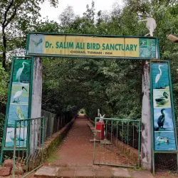 Salim Ali Bird Sanctuary - Goa