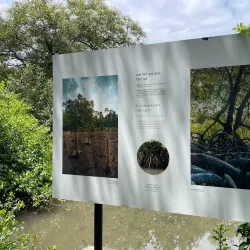 Salim Ali Bird Sanctuary - Goa