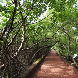 Salim Ali Bird Sanctuary - Goa