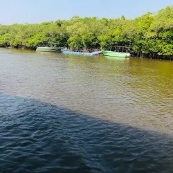 Salim Ali Bird Sanctuary - Goa