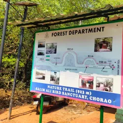 Salim Ali Bird Sanctuary - Goa