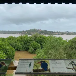 Salim Ali Bird Sanctuary - Goa