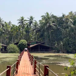 Spice Plantations - Goa