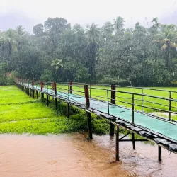 Spice Plantations - Goa