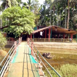 Spice Plantations - Goa