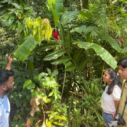 Spice Plantations - Goa