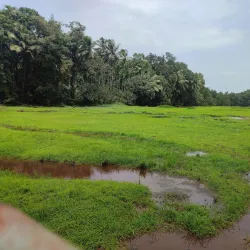 Spice Plantations - Goa