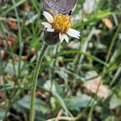Buddha Park - Gorakhpur
