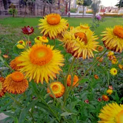 Buddha Park - Gorakhpur