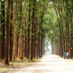 Kushmi Forest - Gorakhpur