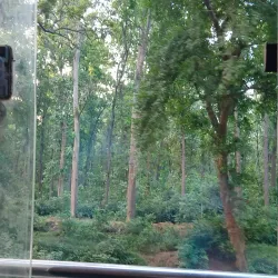 Kushmi Forest - Gorakhpur