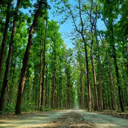 Kushmi Forest - Gorakhpur