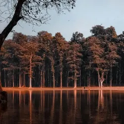 Kushmi Forest - Gorakhpur