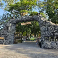 Gir National Park - Gujarat