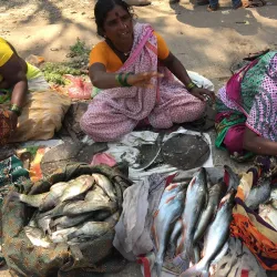 Gulbarga Market - Gulbarga