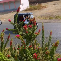 Shor Gumbad - Gulbarga