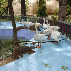 Jaihind Park - Guntur