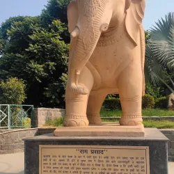 Leisure Valley Park - Gurgaon