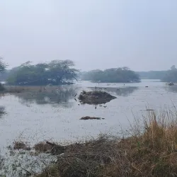 Sultanpur National Park - Gurgaon