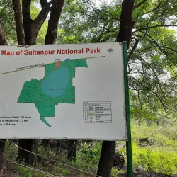 Sultanpur National Park - Gurgaon