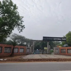 Sultanpur National Park - Gurgaon