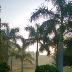 Tau Devi Lal Biodiversity Park - Gurgaon