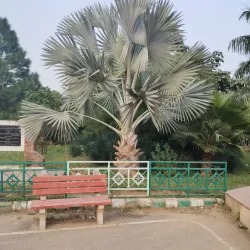 Tau Devi Lal Biodiversity Park - Gurgaon