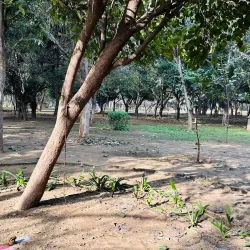 Tau Devi Lal Biodiversity Park - Gurgaon