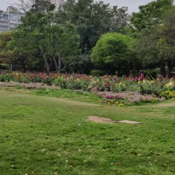 Tau Devi Lal Biodiversity Park - Gurgaon