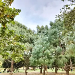 Tau Devi Lal Biodiversity Park - Gurgaon
