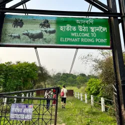 Pobitora Wildlife Sanctuary - Guwahati
