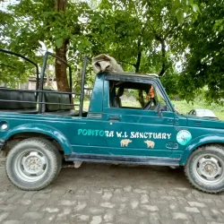 Pobitora Wildlife Sanctuary - Guwahati