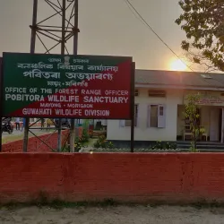 Pobitora Wildlife Sanctuary - Guwahati