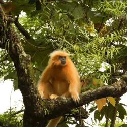 Umananda Island - Guwahati