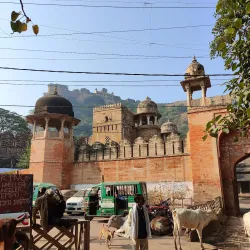 Gujari Mahal Archaeological Museum - Gwalior
