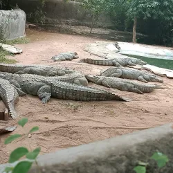 Gwalior Zoo (Morar Zoo) - Gwalior