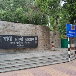 Gwalior Zoo (Morar Zoo) - Gwalior