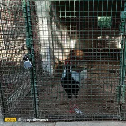 Gwalior Zoo (Morar Zoo) - Gwalior