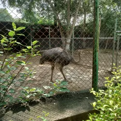 Gwalior Zoo (Morar Zoo) - Gwalior