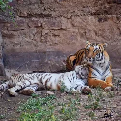 Gwalior Zoo (Morar Zoo) - Gwalior