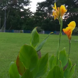 Haldia Port Trust Office - Haldia