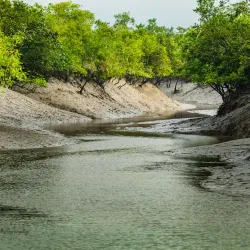 Sundarbans National Park (nearby) - Haldia
